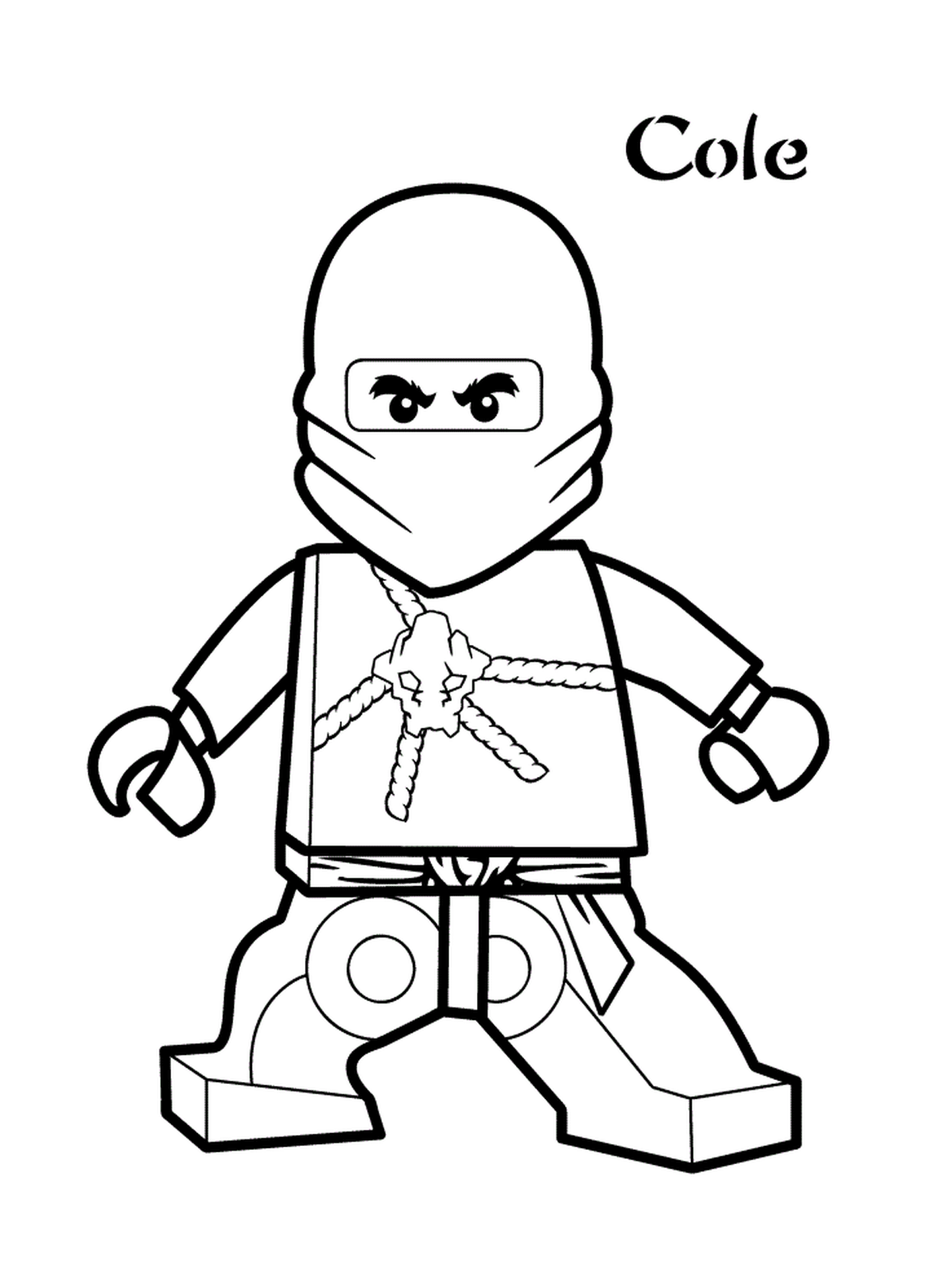  Personagem Lego Ninjago dinâmico 