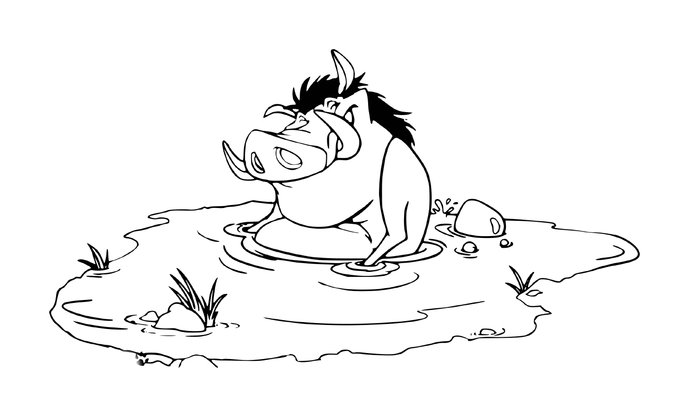  Pumba toma banho em uma poça 