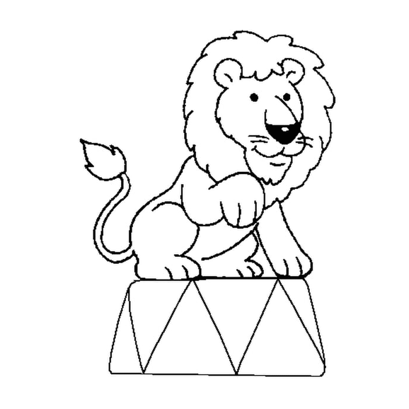  Leão sentado em um círculo 