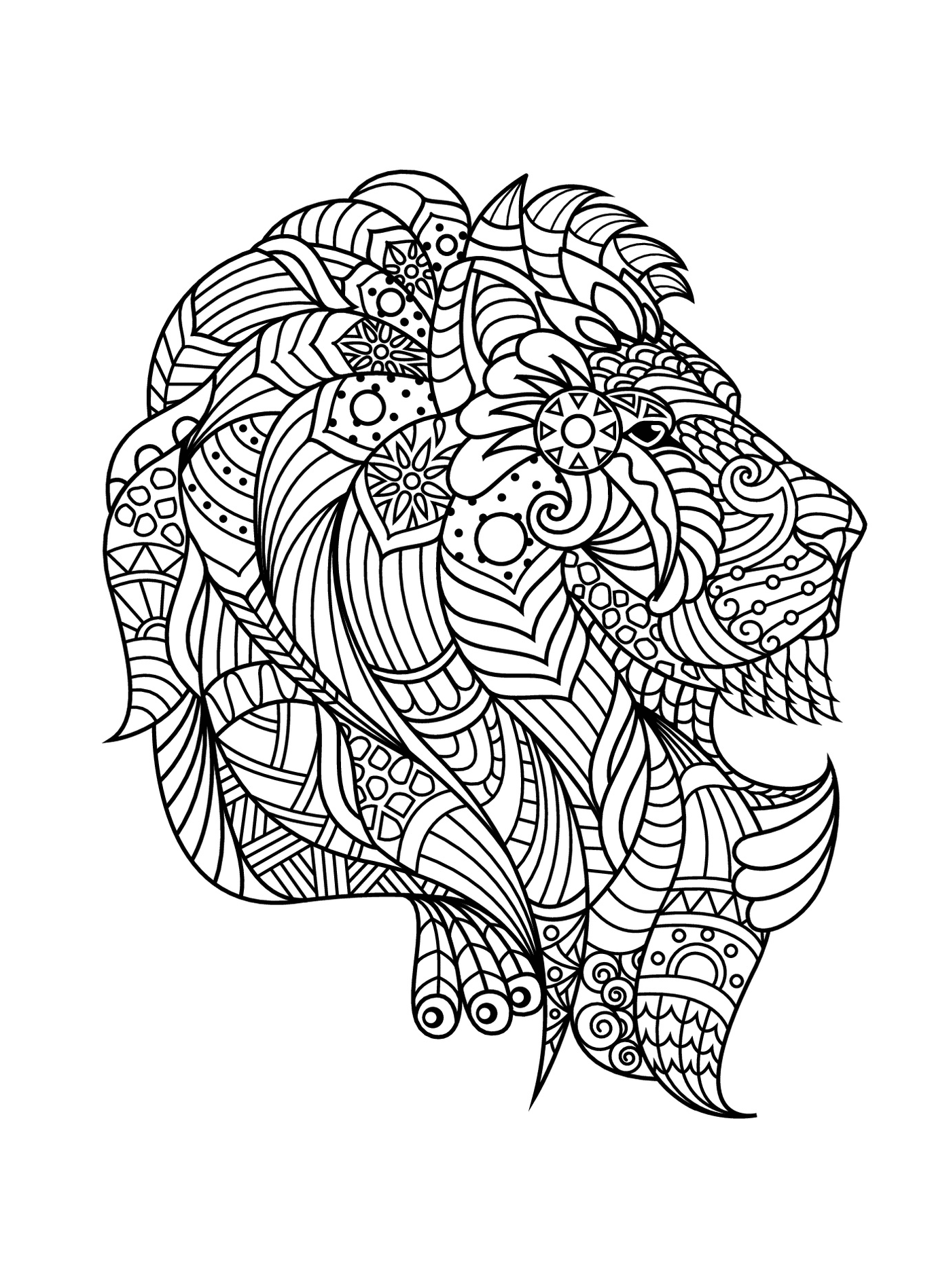  Leão adulto complexo zentangle 