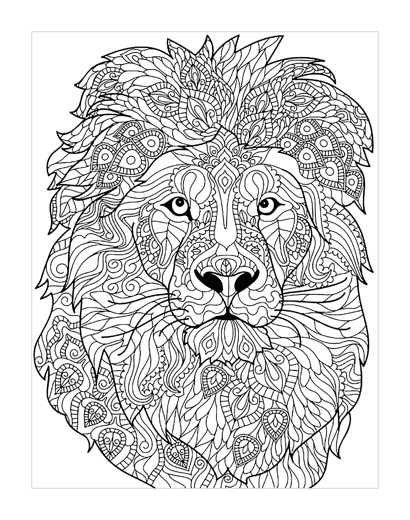  Leão adulto em padrões complexos 