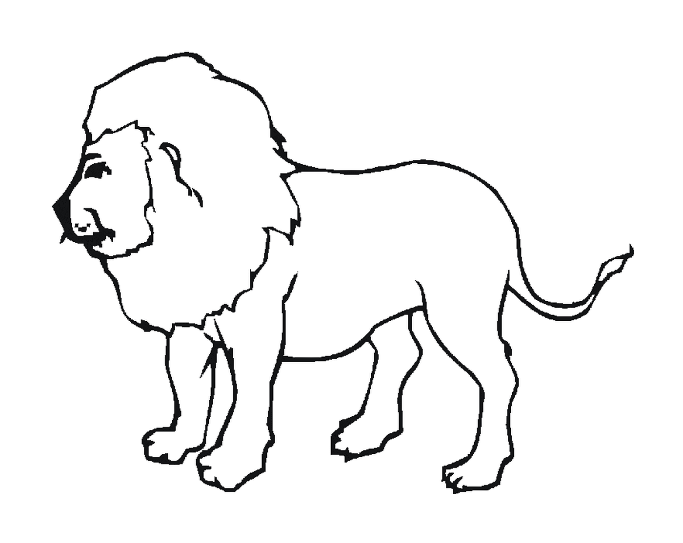  Leão de Bárbaro, majestoso 