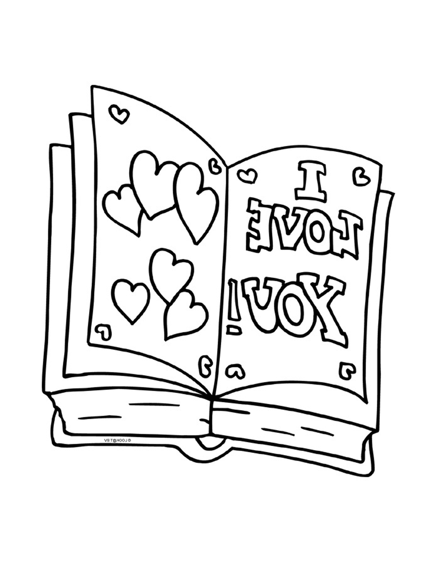  Um livro aberto que diz que eu te amo 