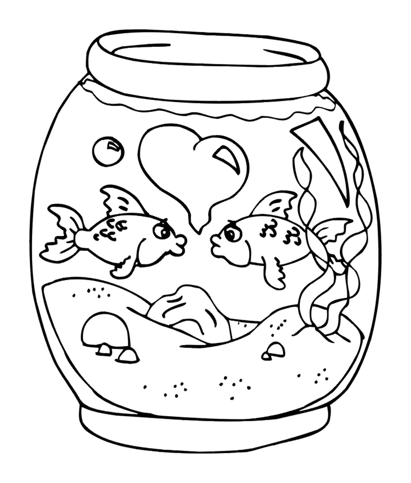  Um frasco de peixe 