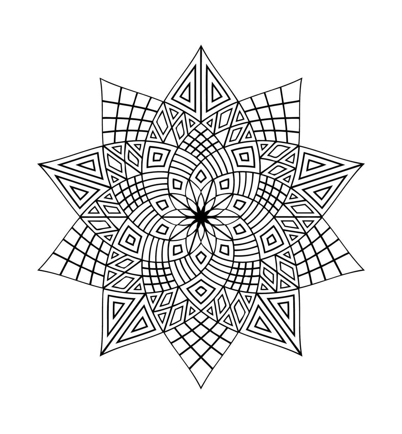  Delicate geometrica Mandala 