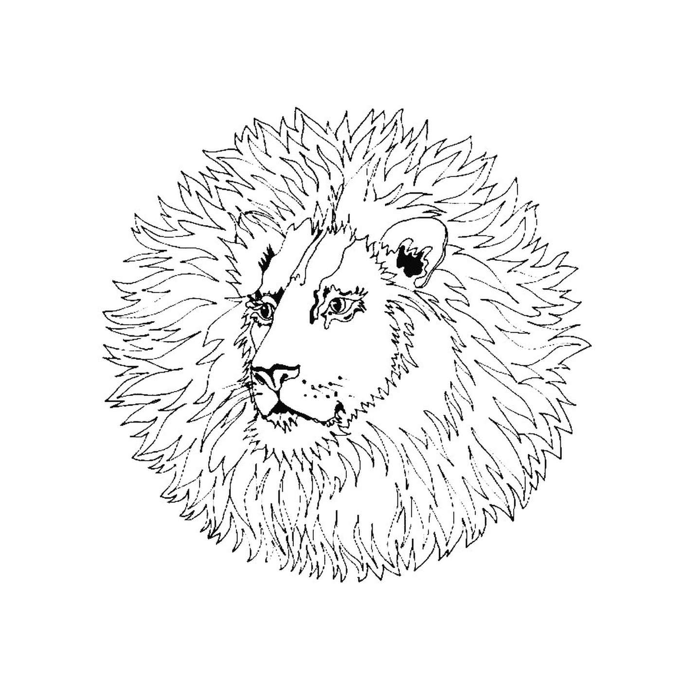  Majes Majes Majestic Leão Mandala 