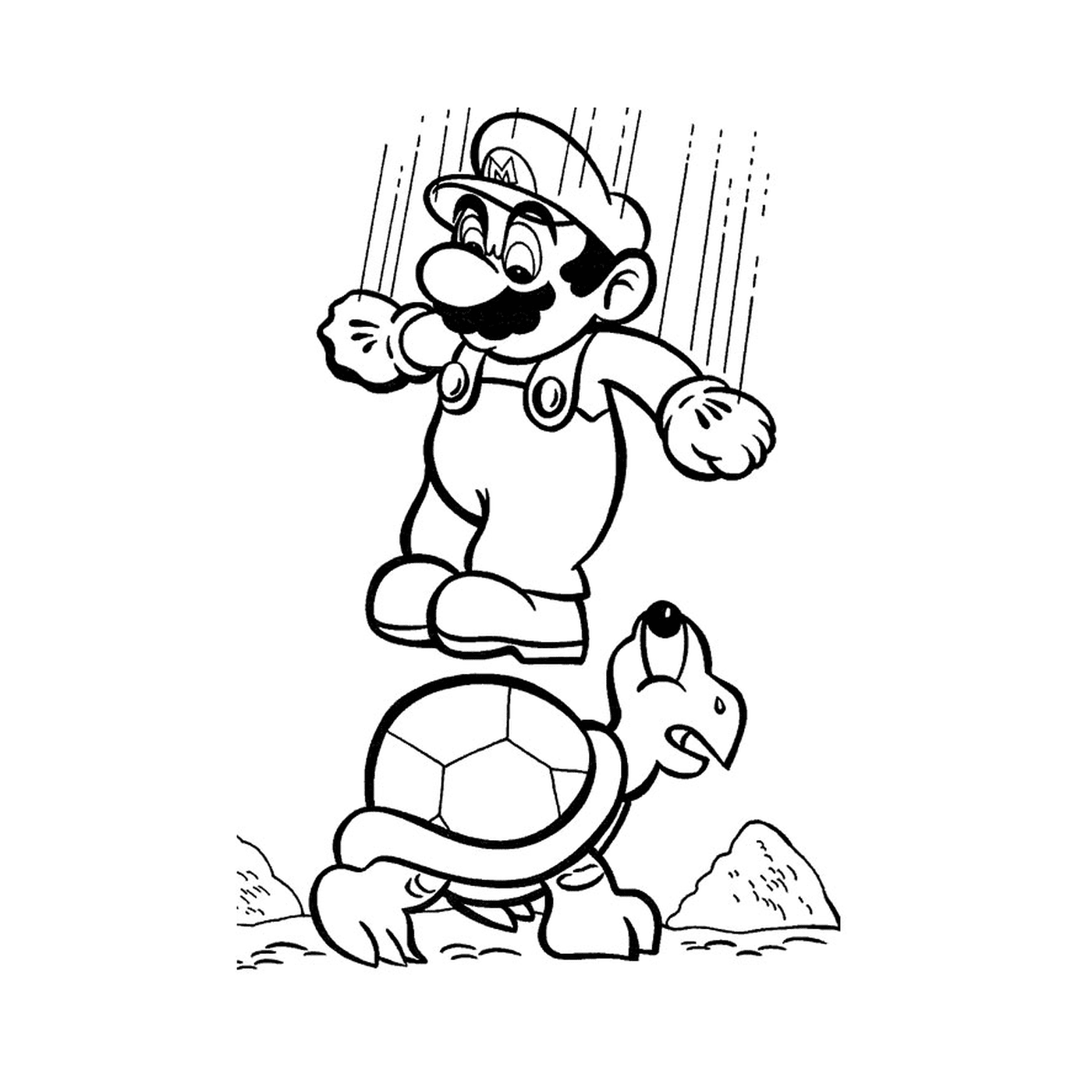  Mario e uma tartaruga 