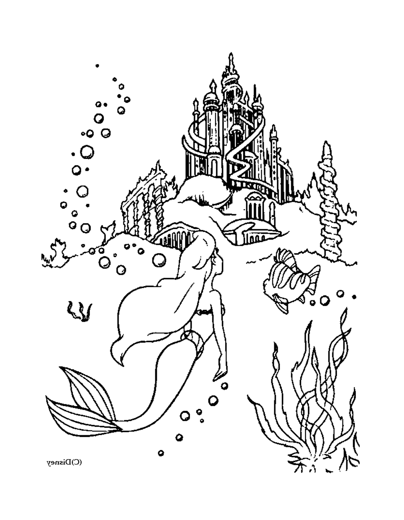  Sirene e castelo 