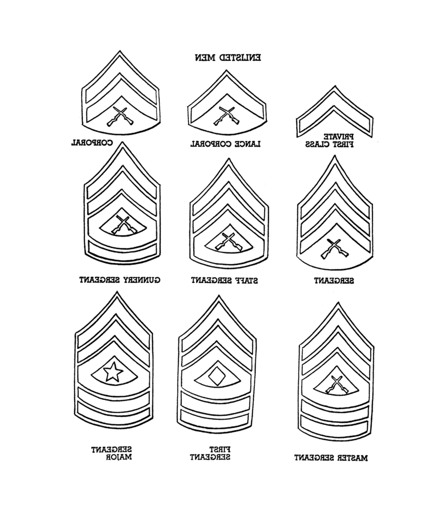  Ranks do Corpo de Fuzileiros Navais: um conjunto de nove insígnias de diferentes posições militares 