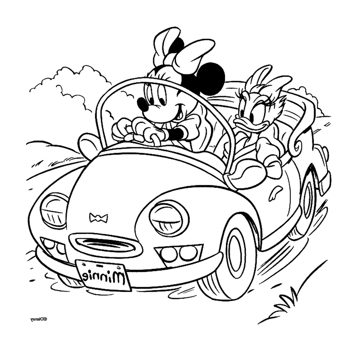  Daisy e Minnie de carro 