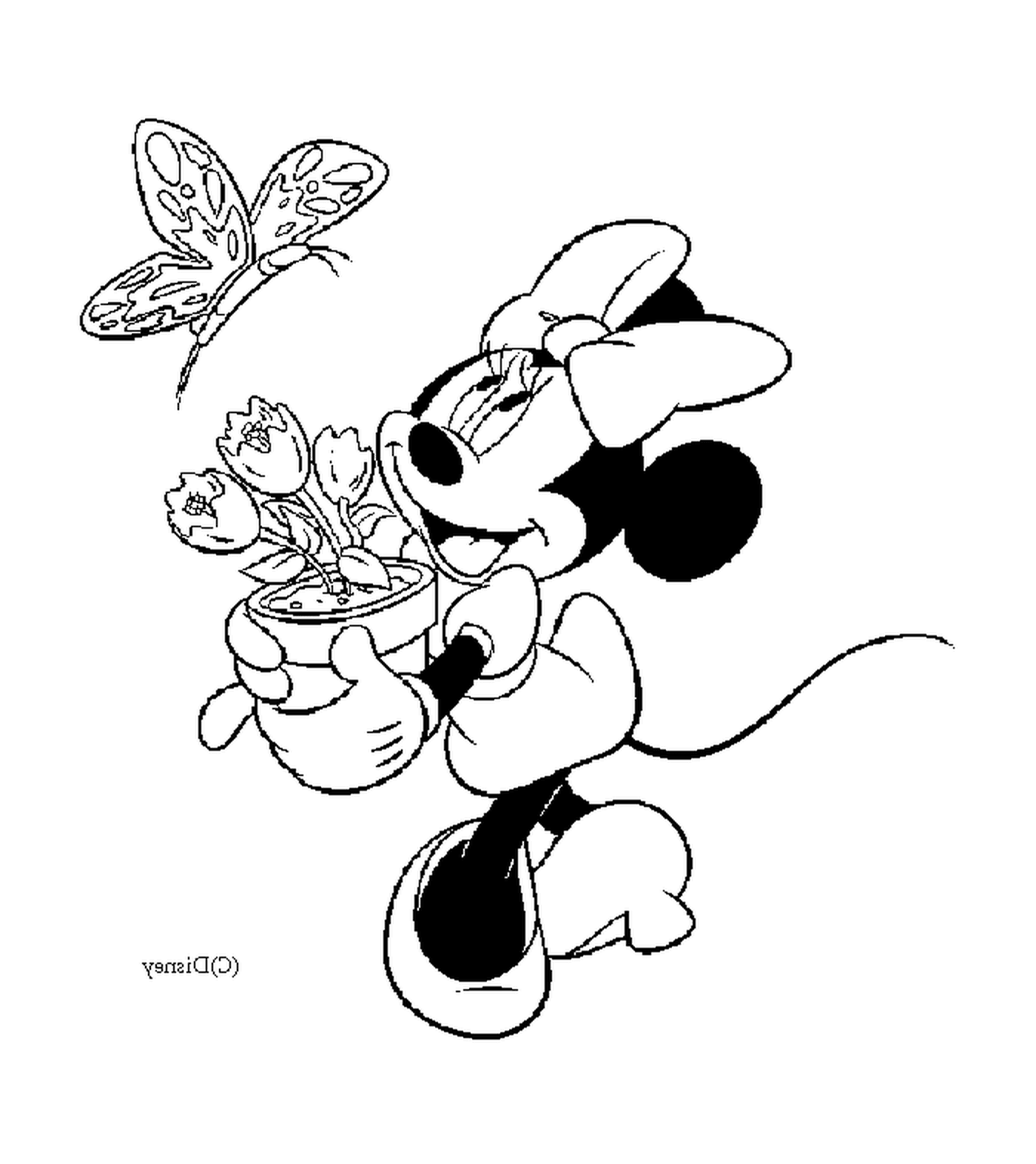  Minnie usa um vaso de flores 