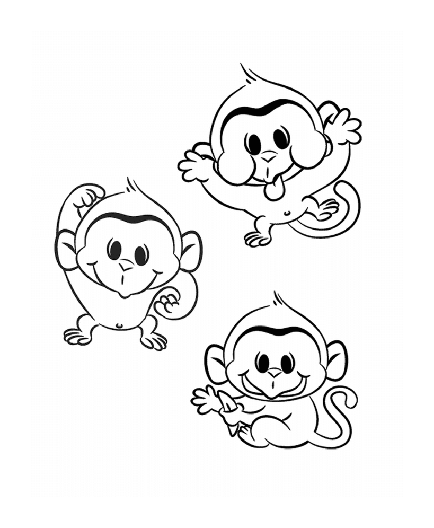  三只简单的小猴子 