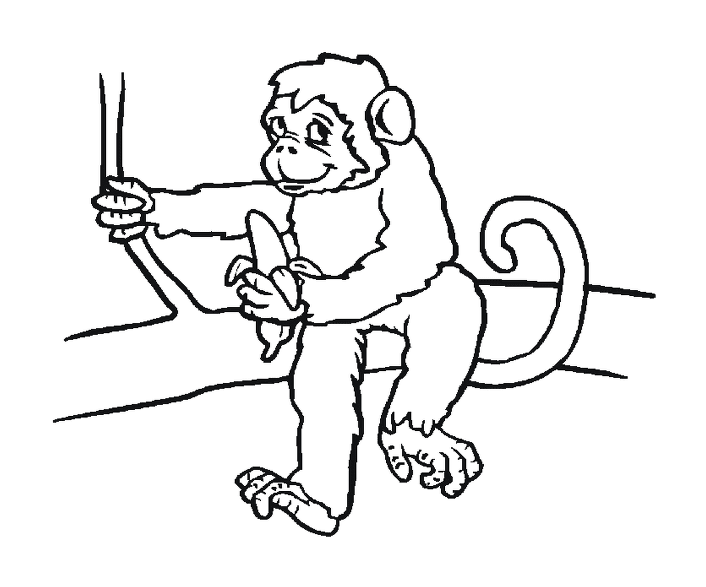  猴子与香蕉坐在一起 