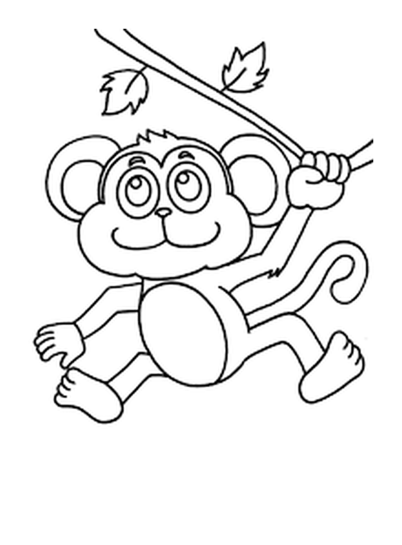  Pequeno macaco balançando 