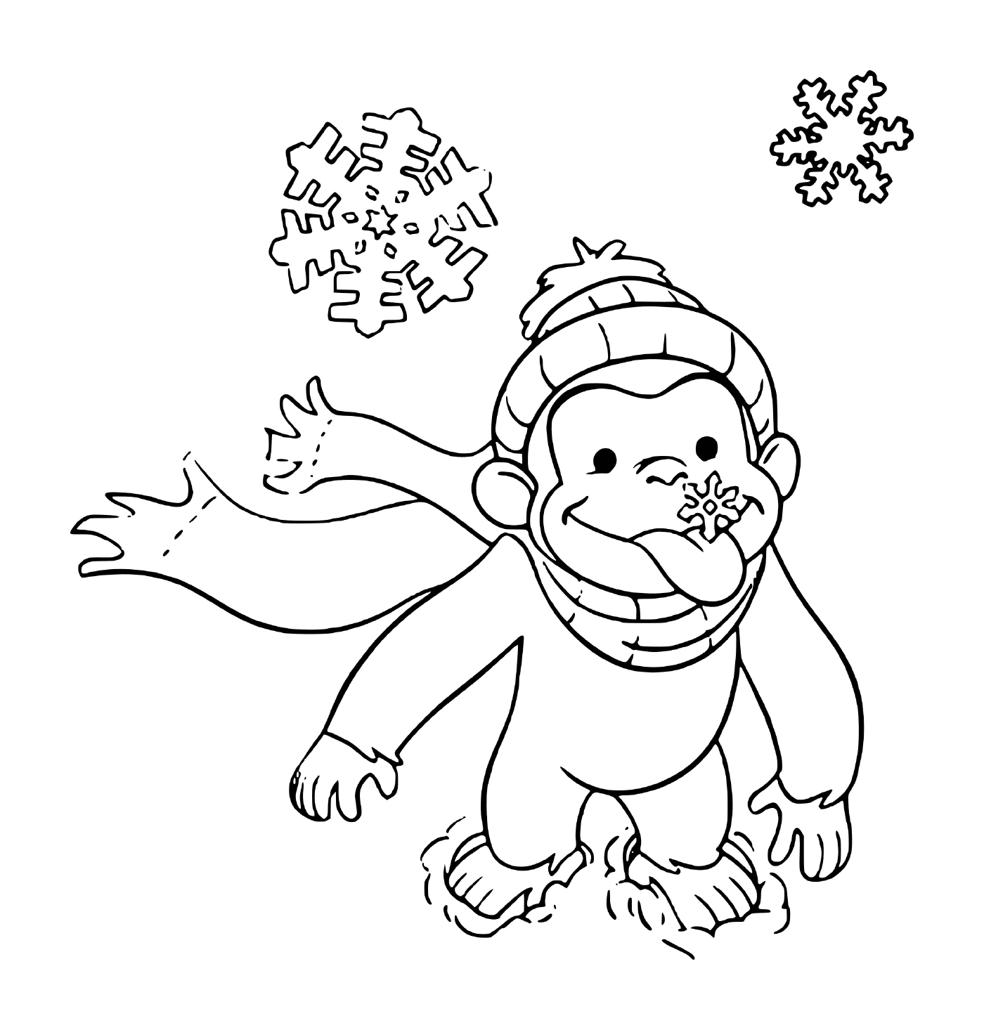  白雪中戴帽子的猴子 