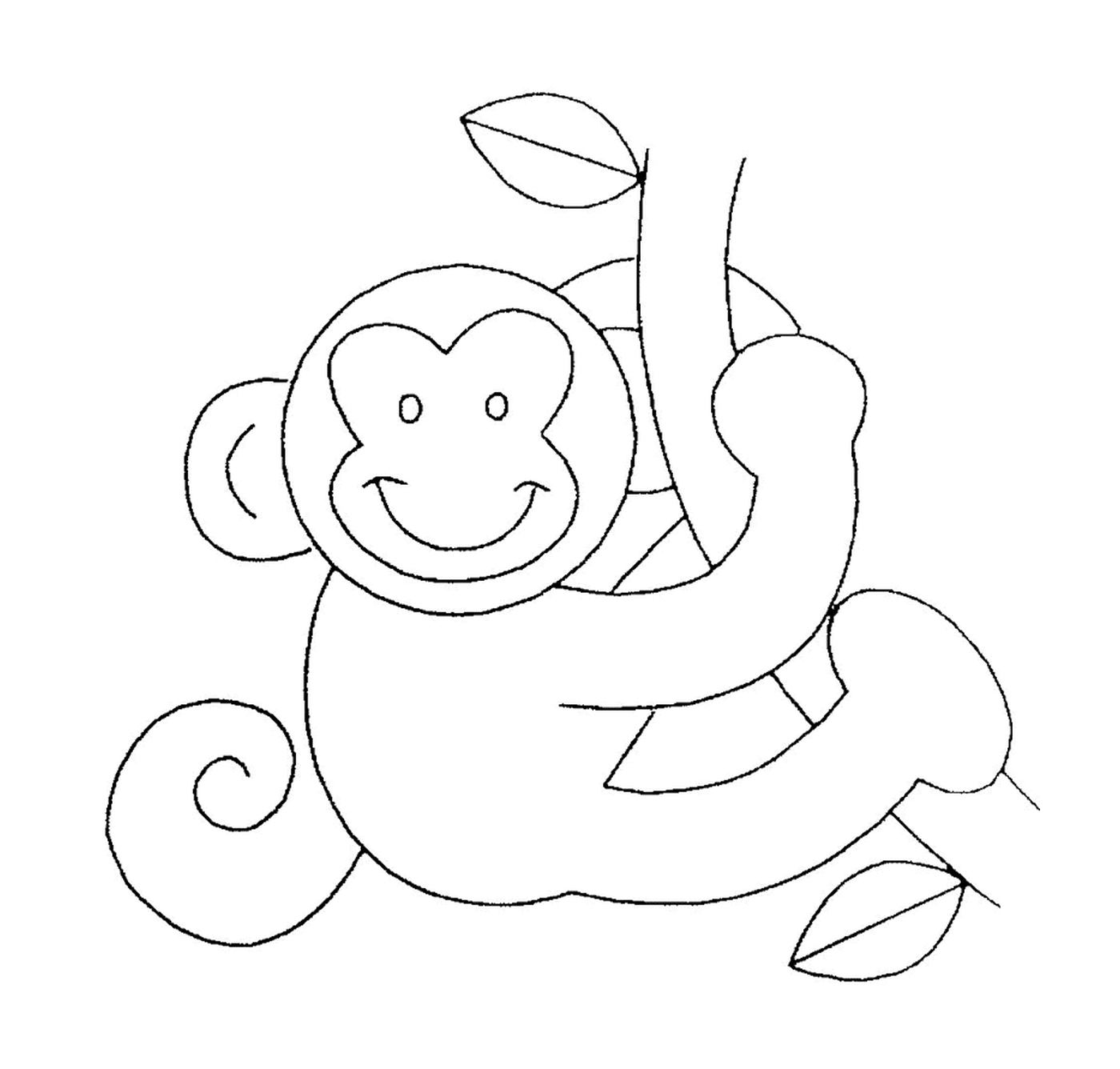  Balanços de macaco em uma liana 