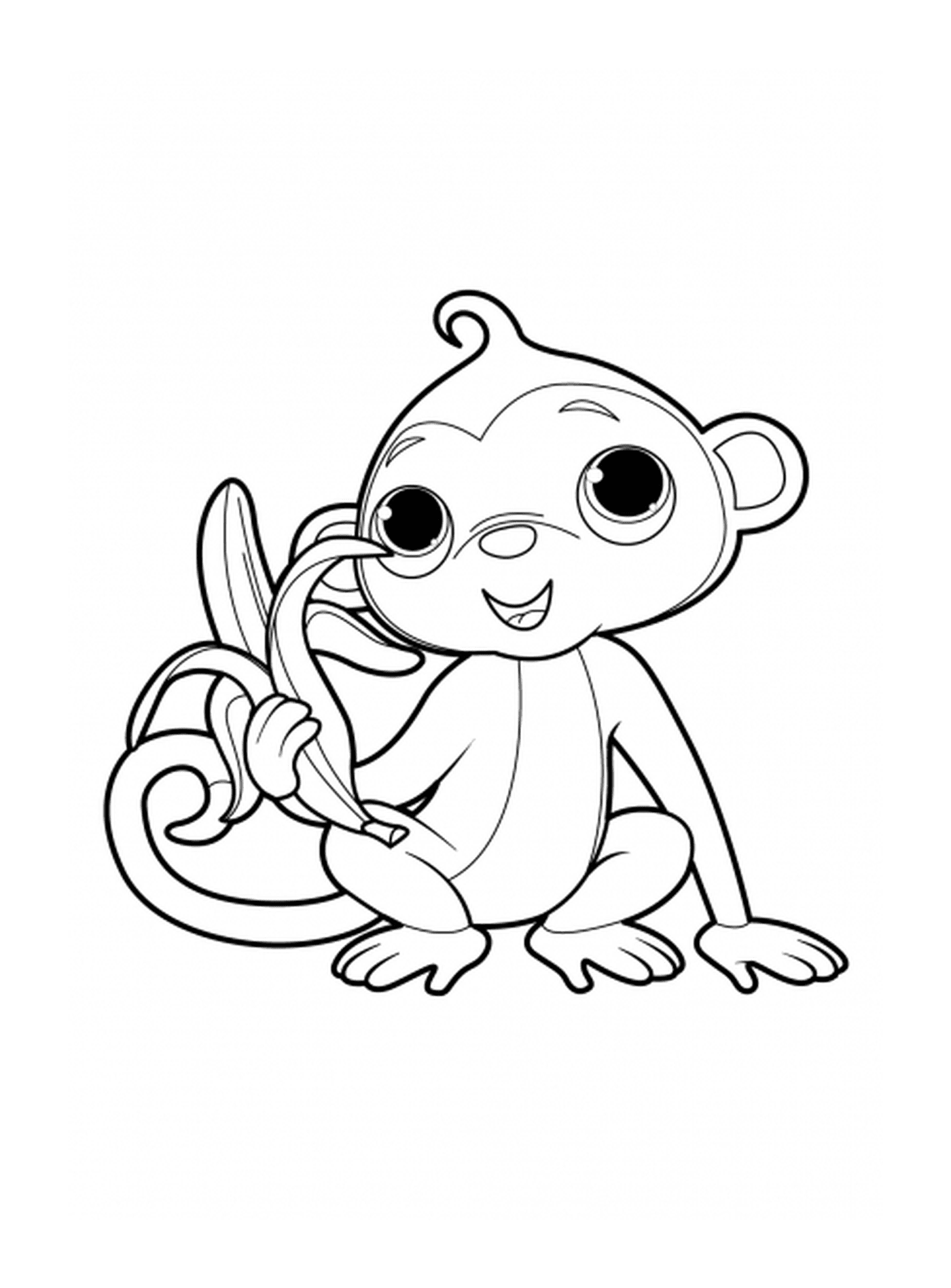  Macaco com uma deliciosa banana 