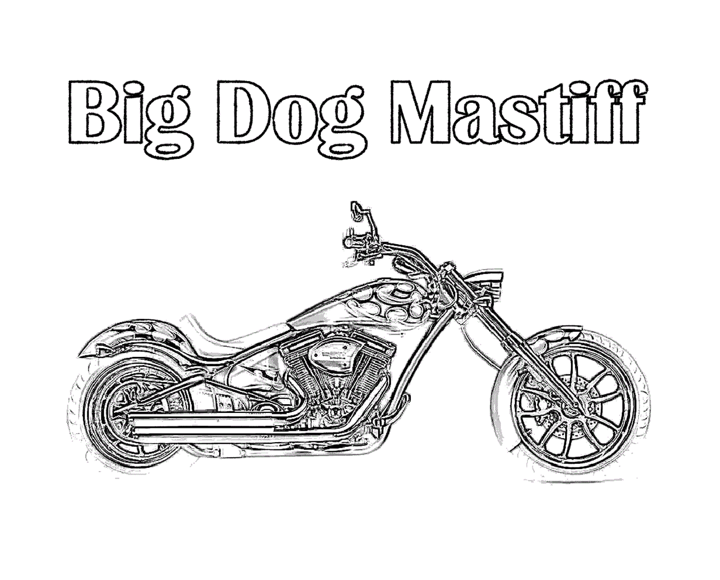  cão grande na motocicleta 