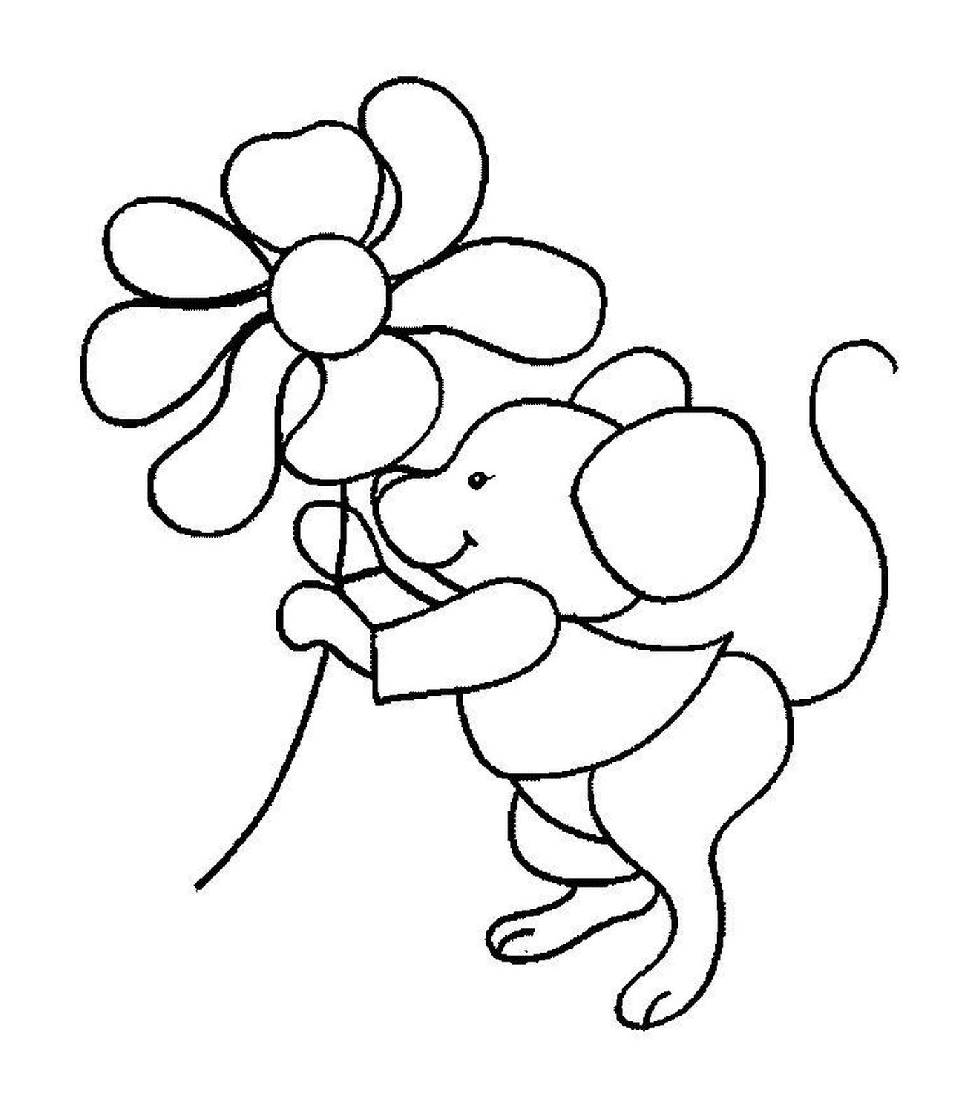  Um rato segurando uma flor 