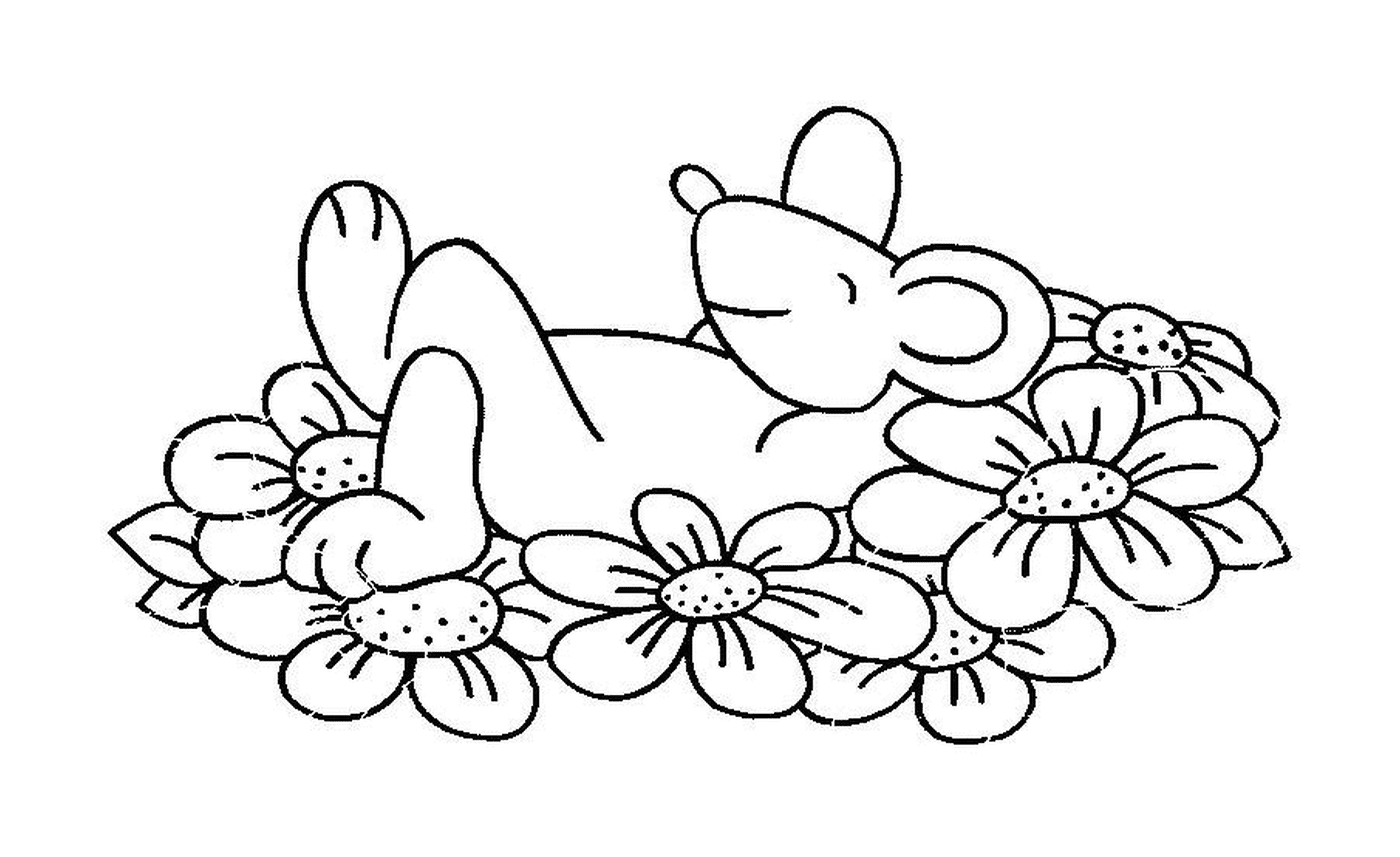  Um rato deitado sobre flores 
