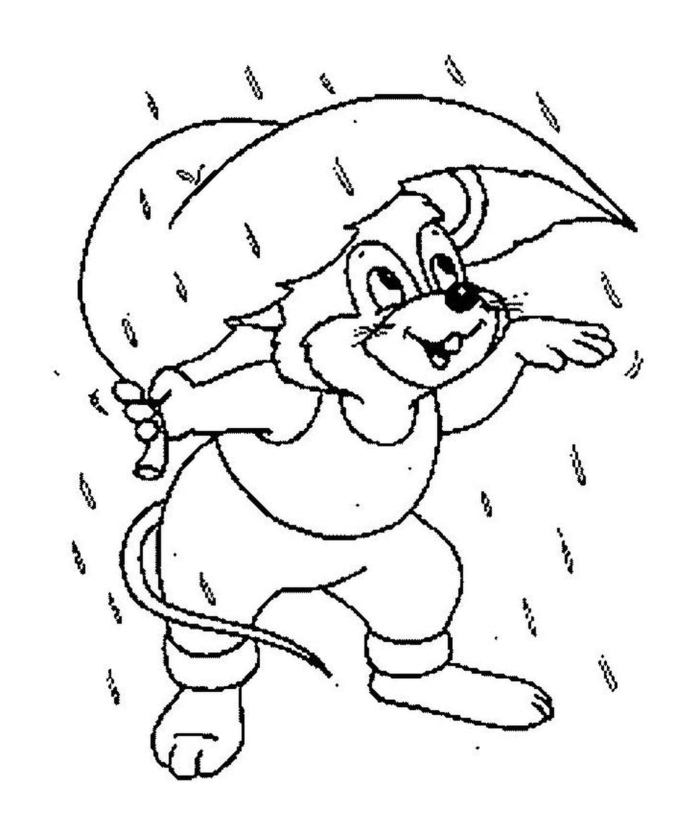  Um rato a proteger-se da chuva 