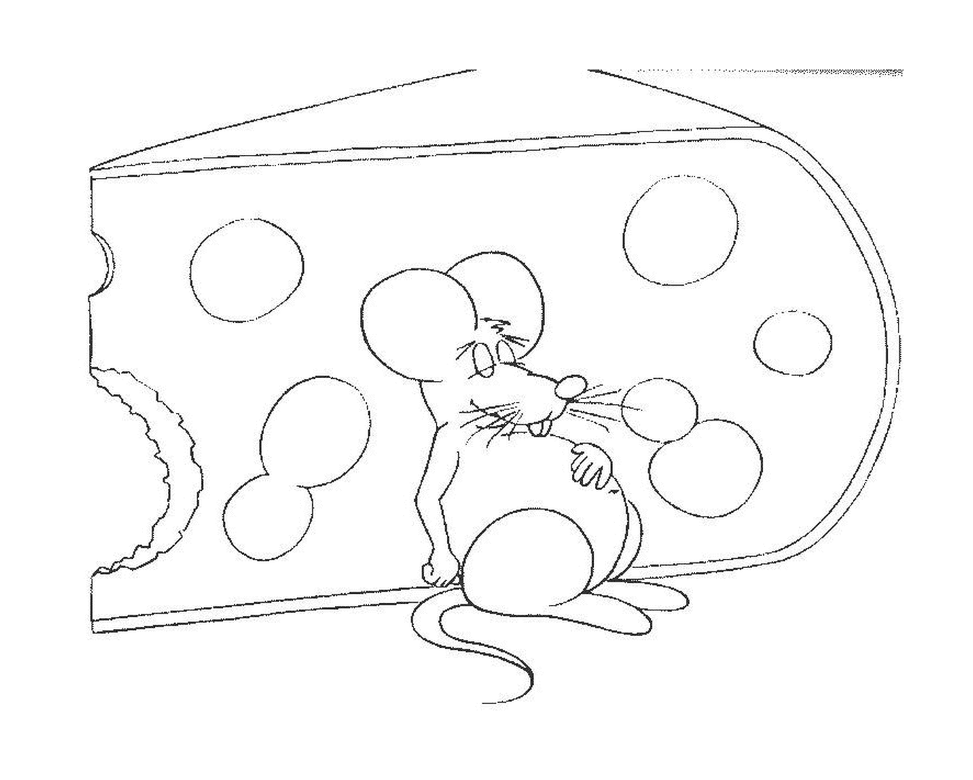  Um rato com um grande pedaço de queijo 