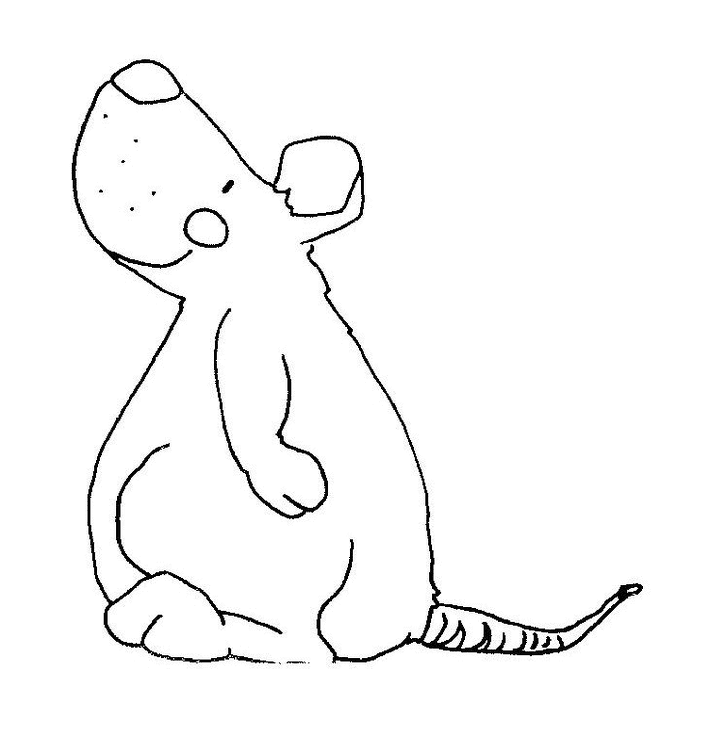  Um rato grande 