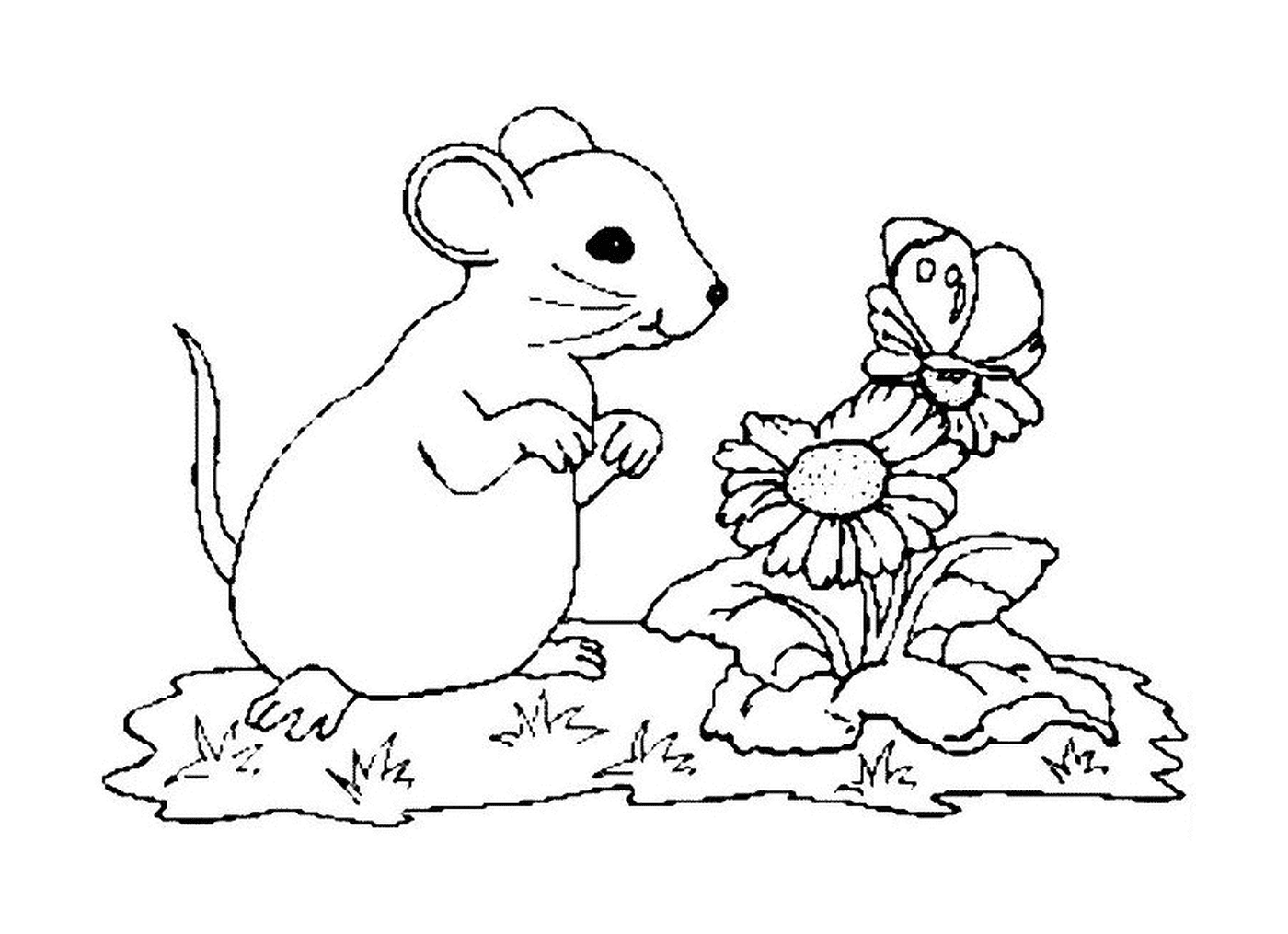  Flores e um rato 