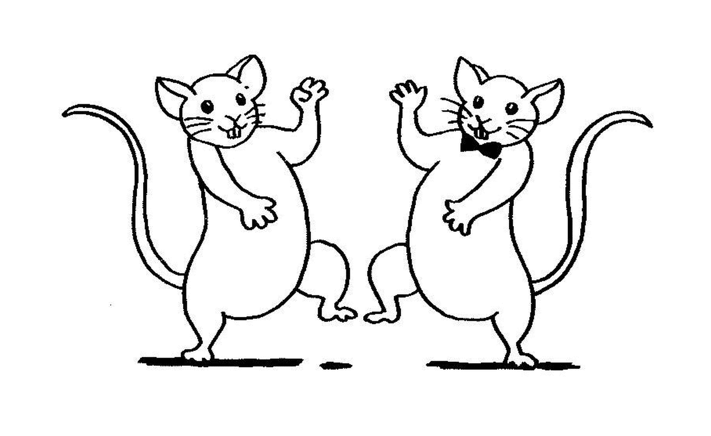  Dois ratos dançando 