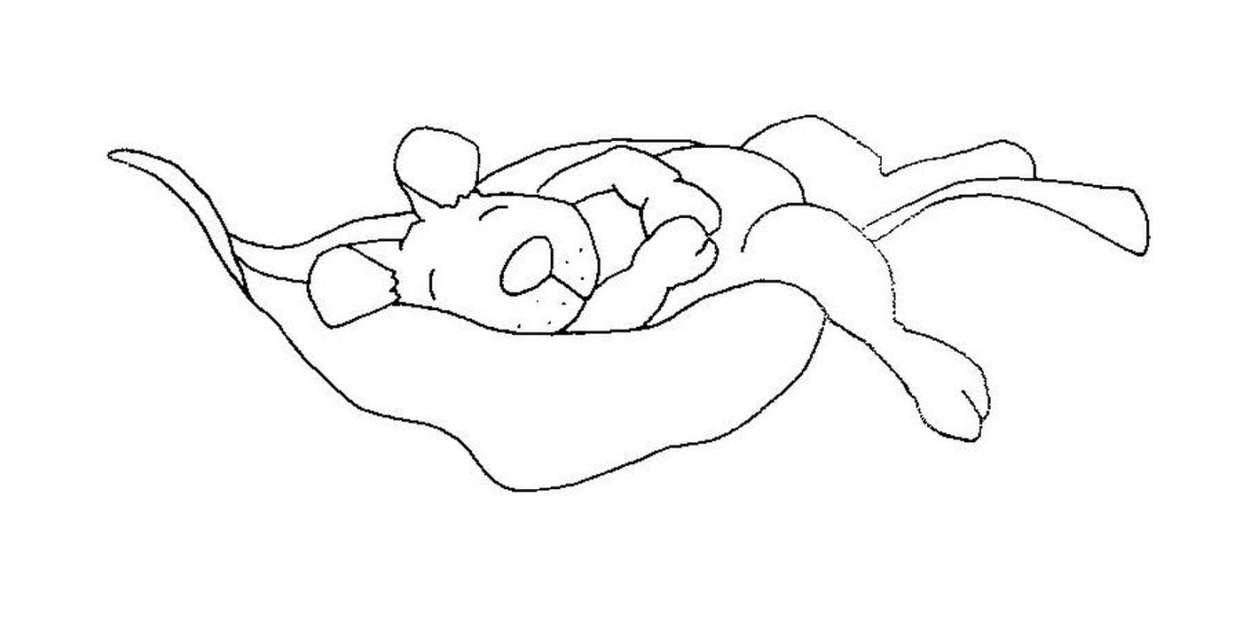  Um rato que dorme em uma folha morta 