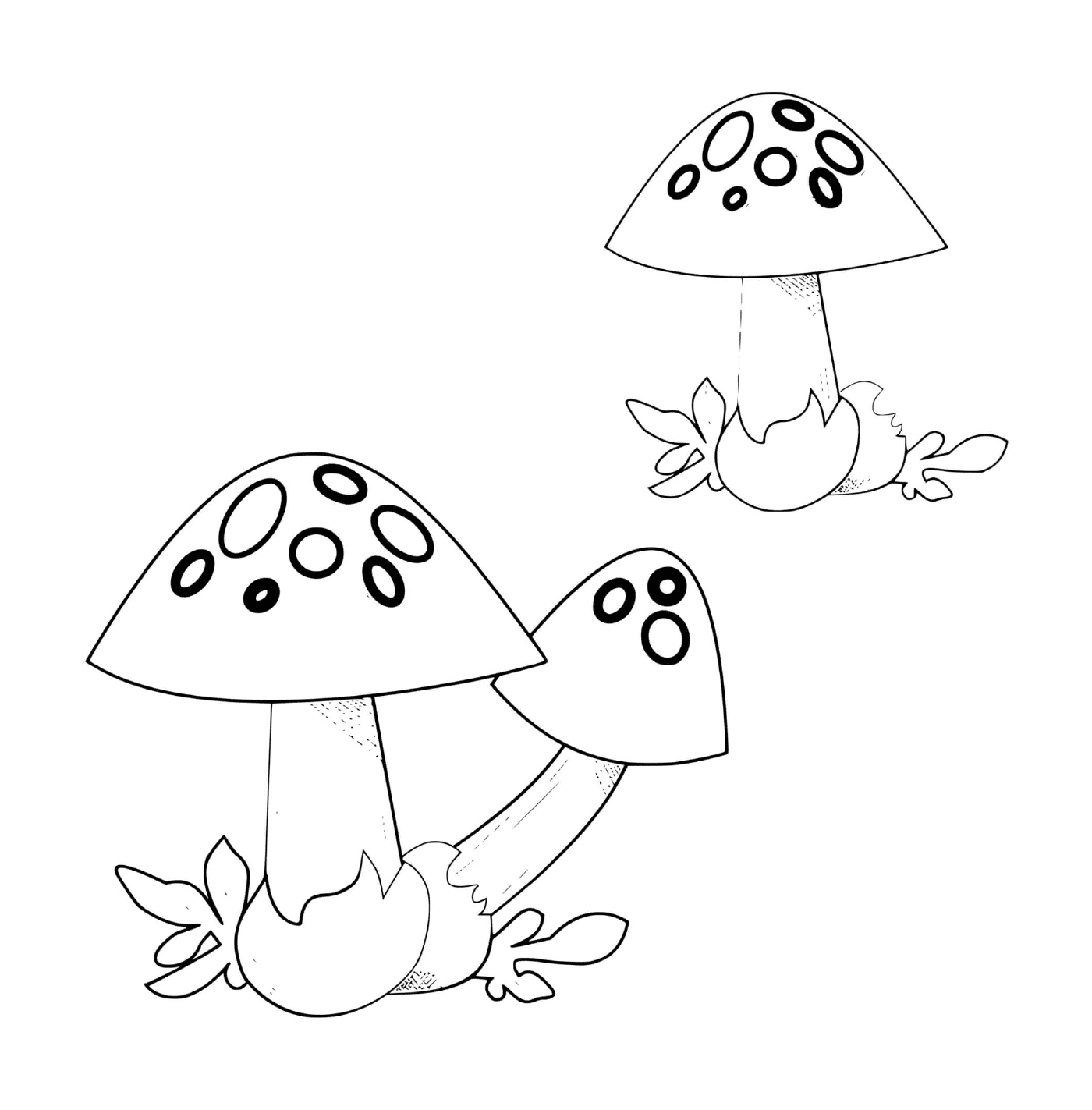  两个蒸气蘑菇并排 