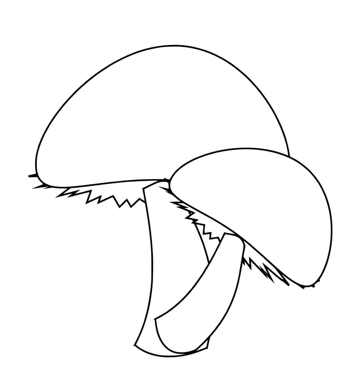  两只简单的蘑菇 值得仰慕的蘑菇 