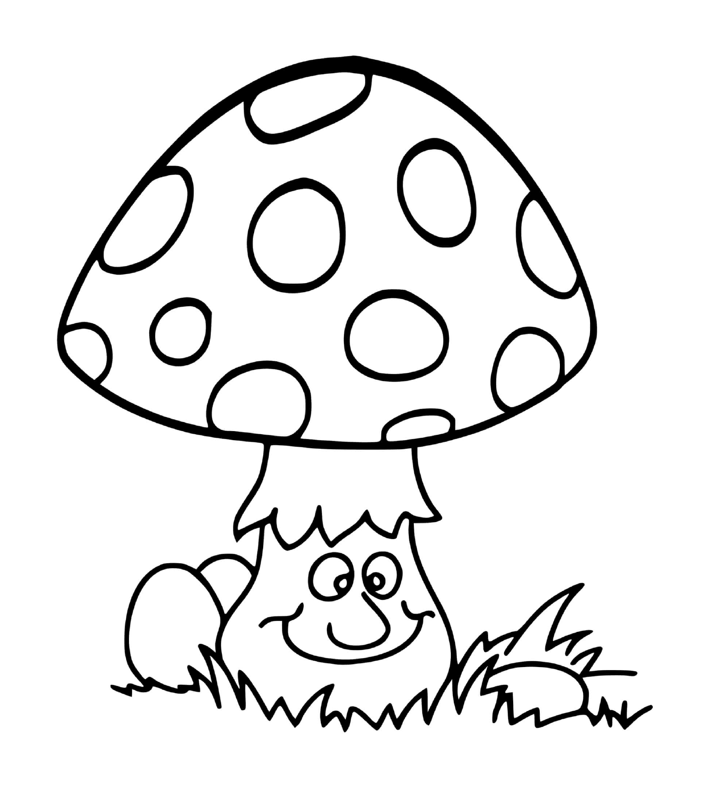  森林里的阿曼特蘑菇 