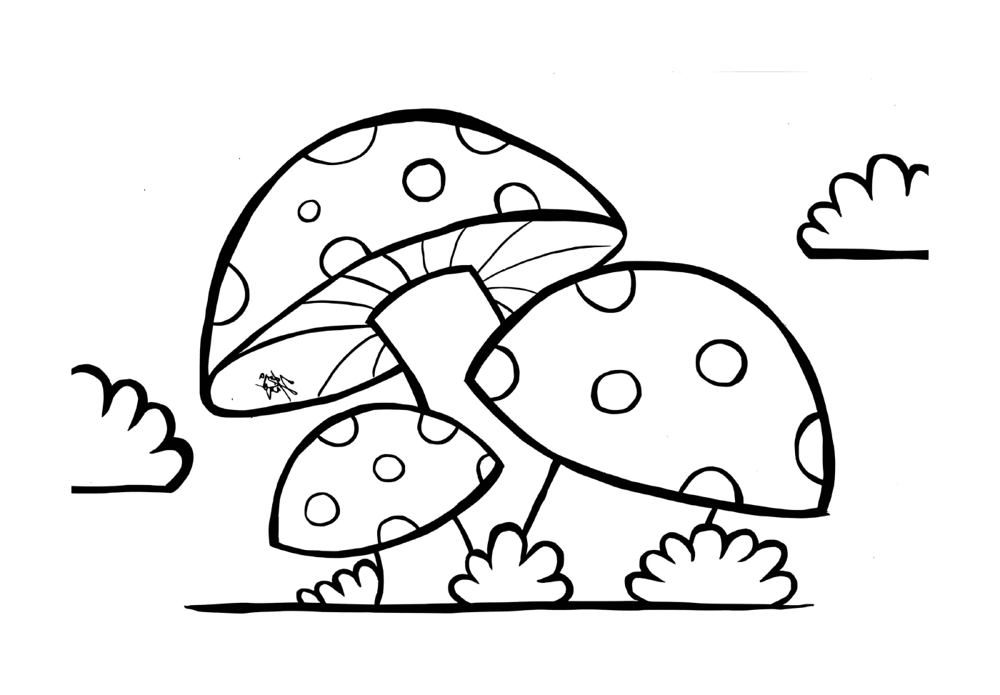  配有豆的蘑菇 