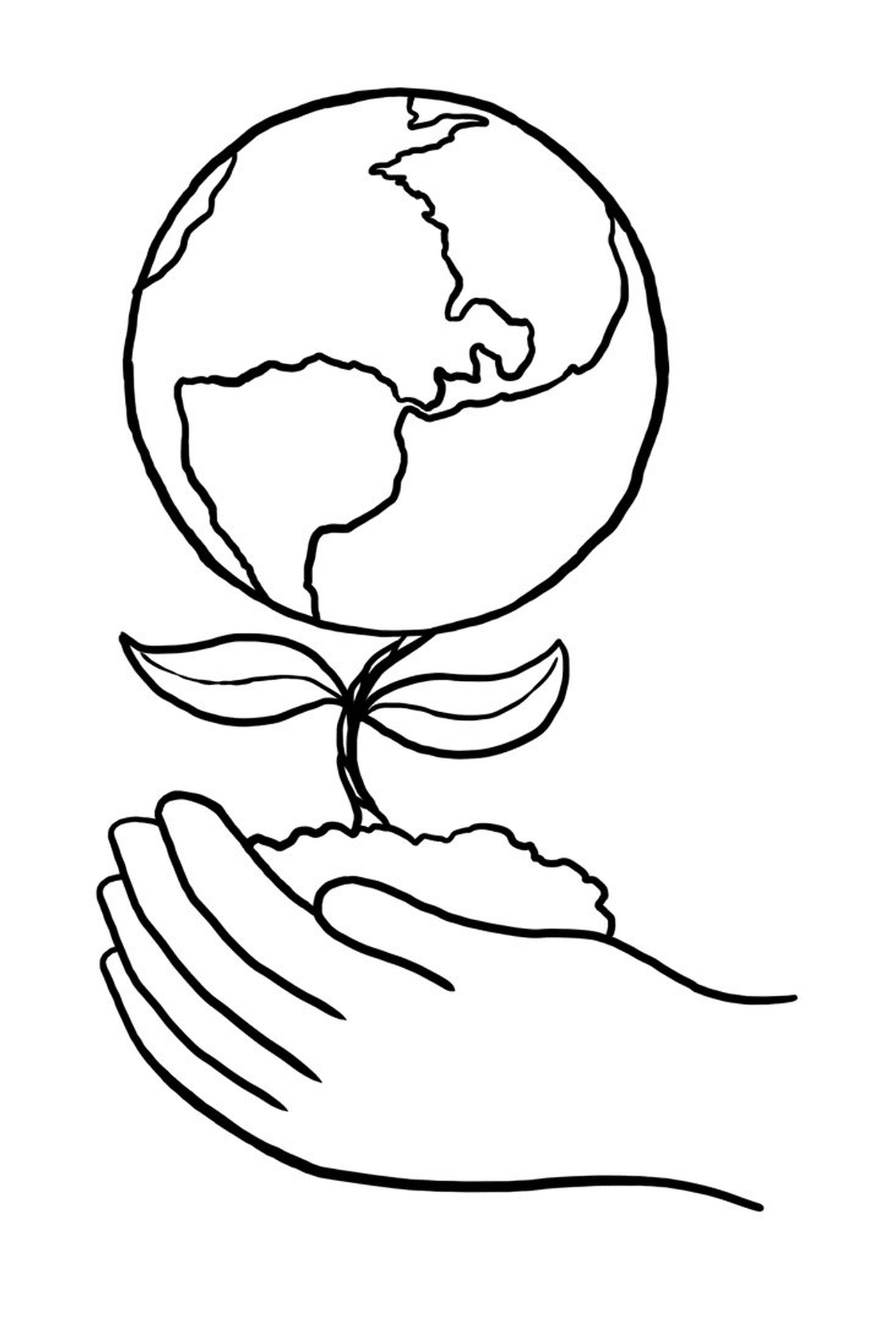  Uma mão segurando uma planta na frente de um globo 