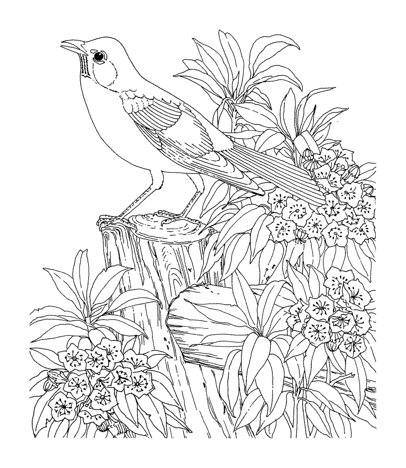  Um pássaro sentado em um galho 