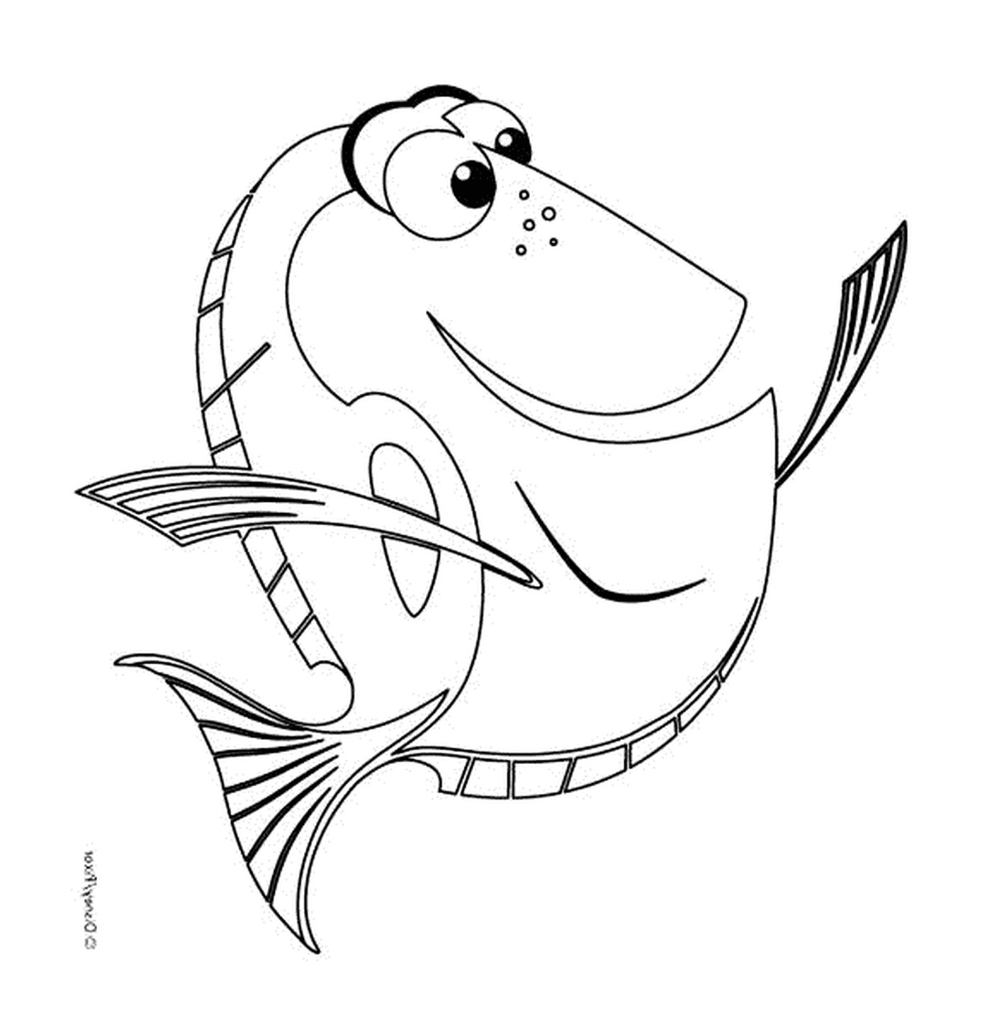  Dory, um peixe 