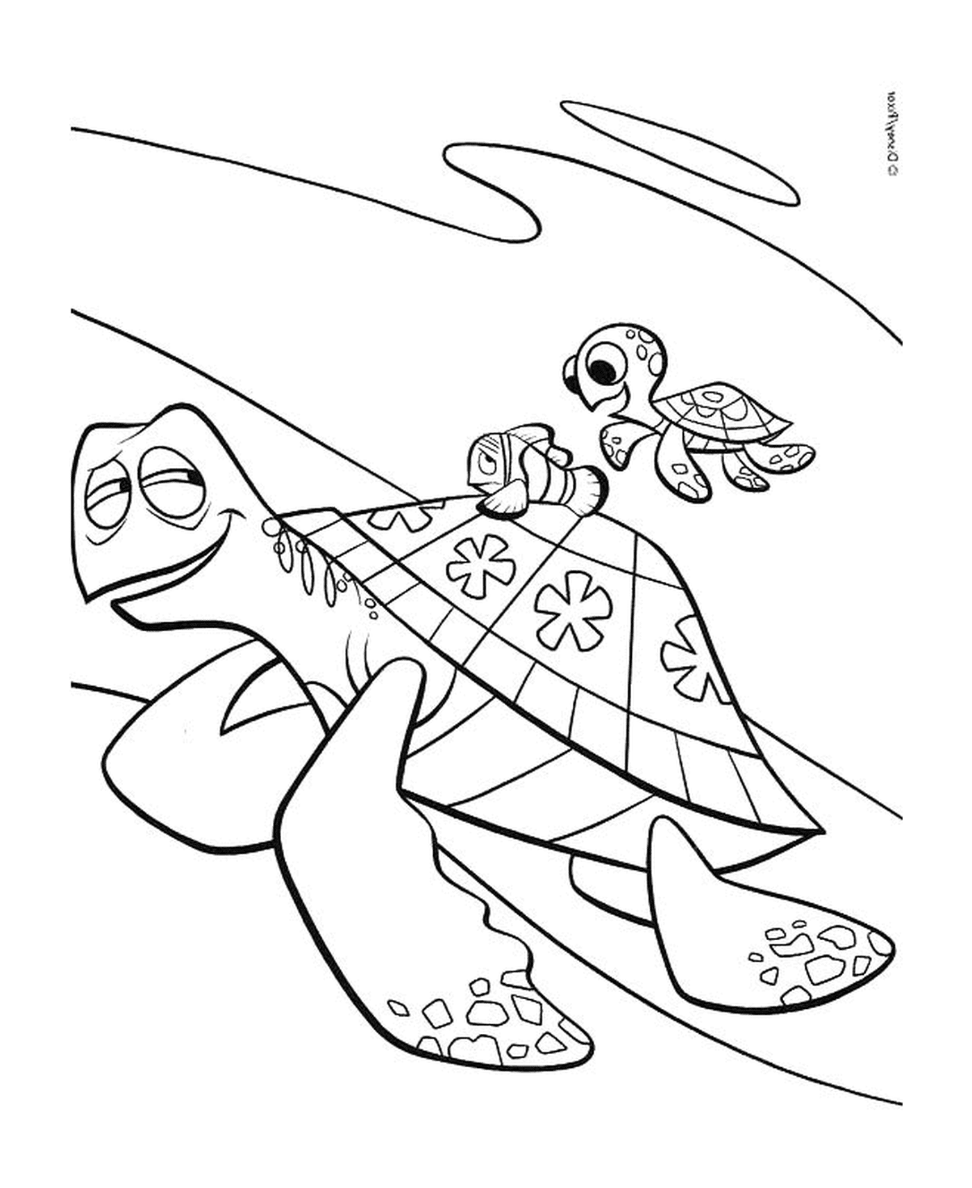  Marin com tartarugas 