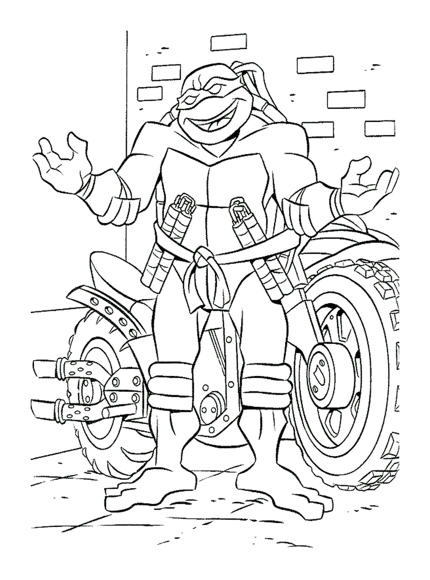  Tartaruga motocicleta Ninja 