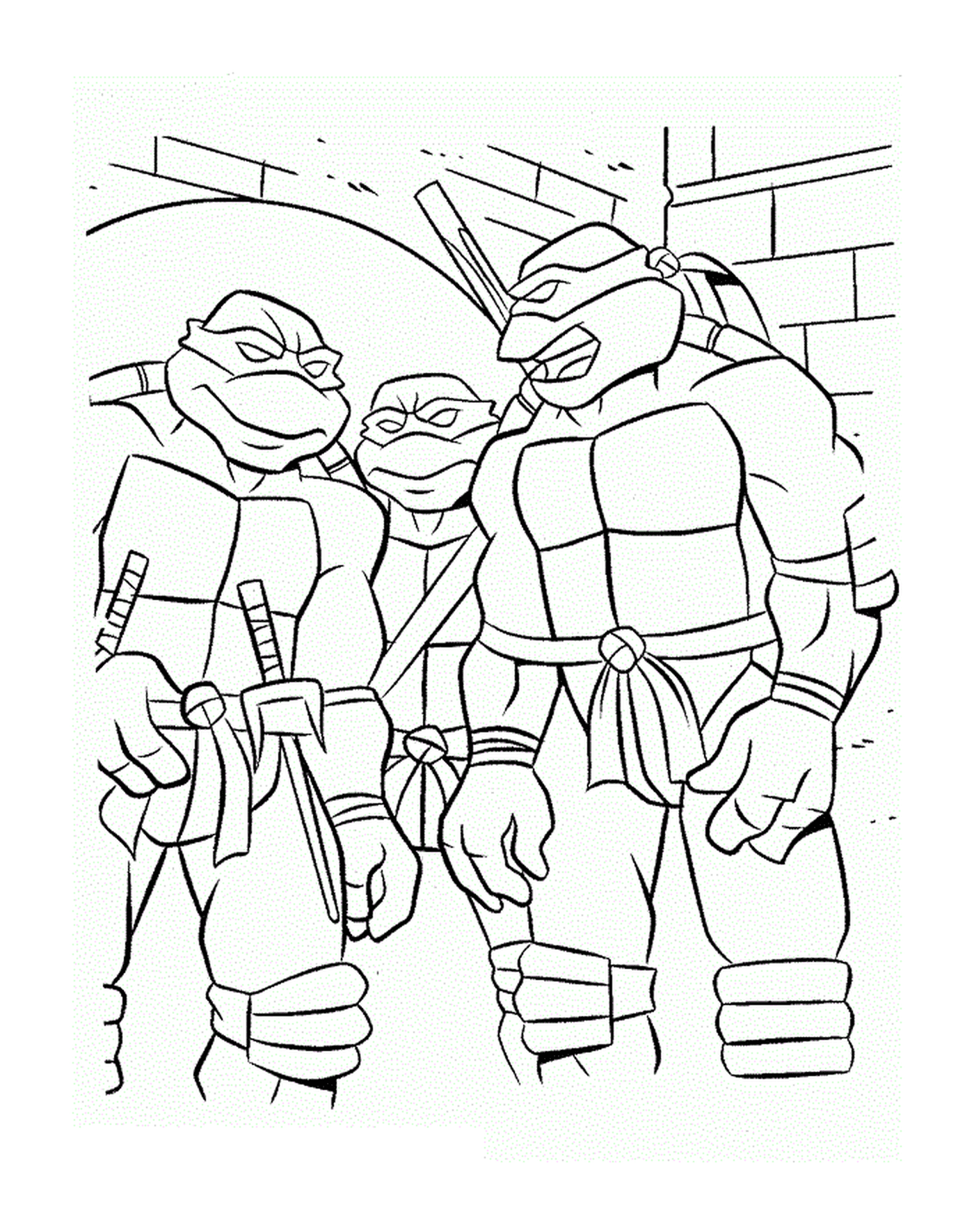  忍者海龟小组 
