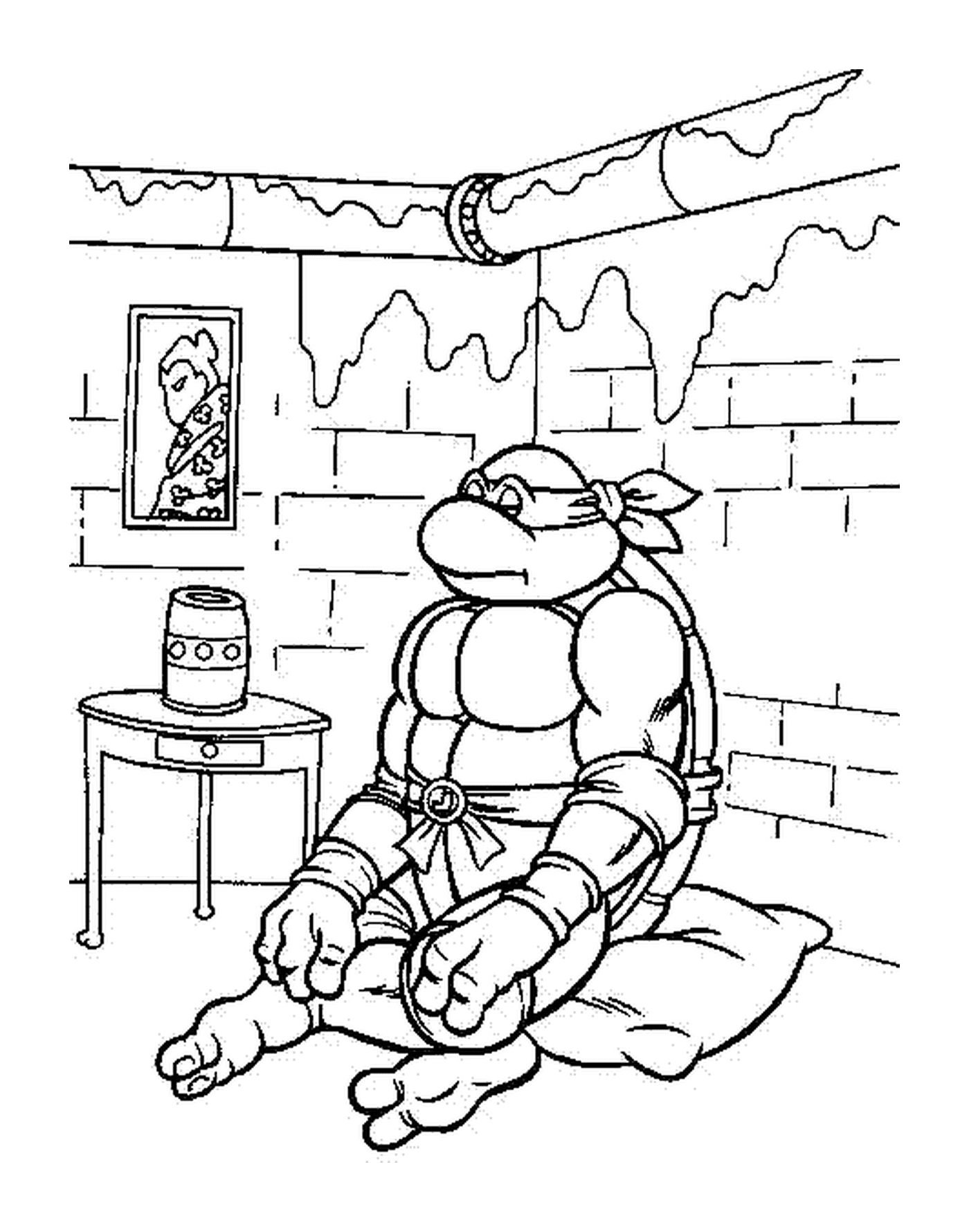  Tartaruga Ninja sentada em uma sala 