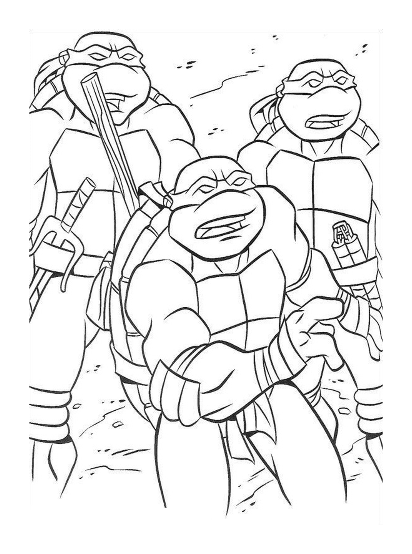  Grupo de tartarugas ninja solidárias 