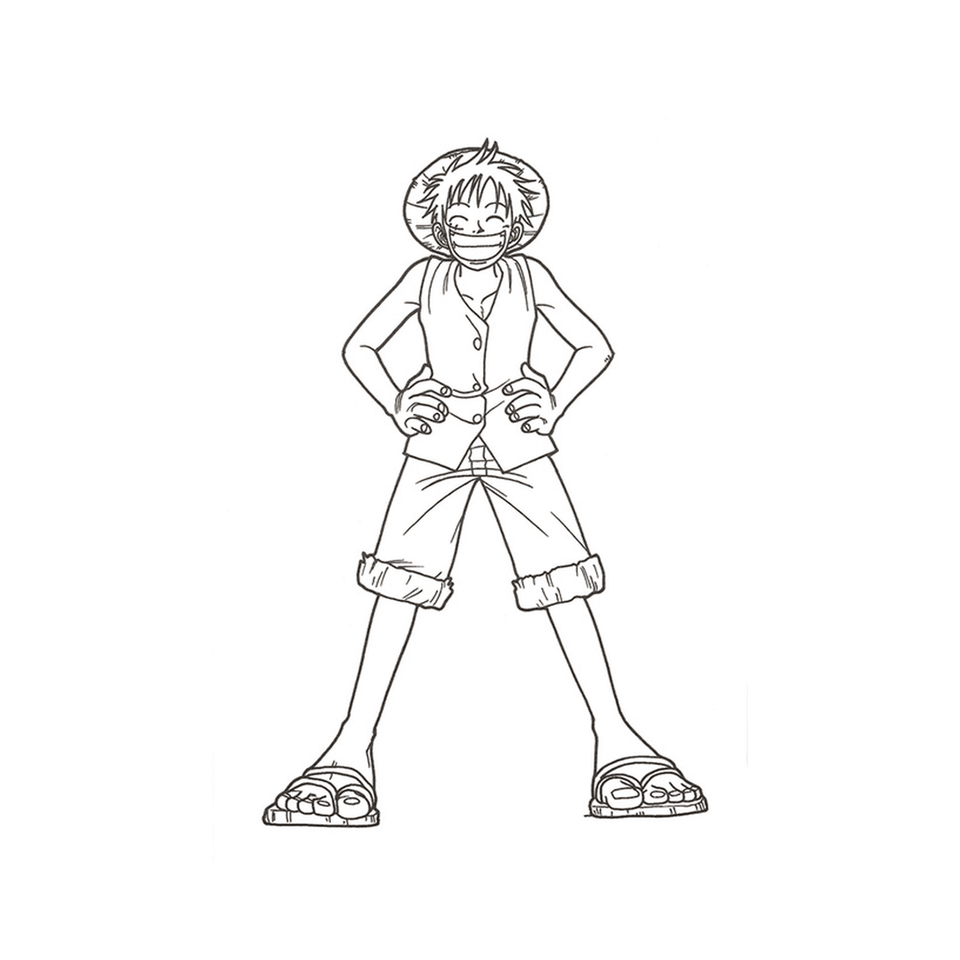  Macaco D Luffy em shorts 