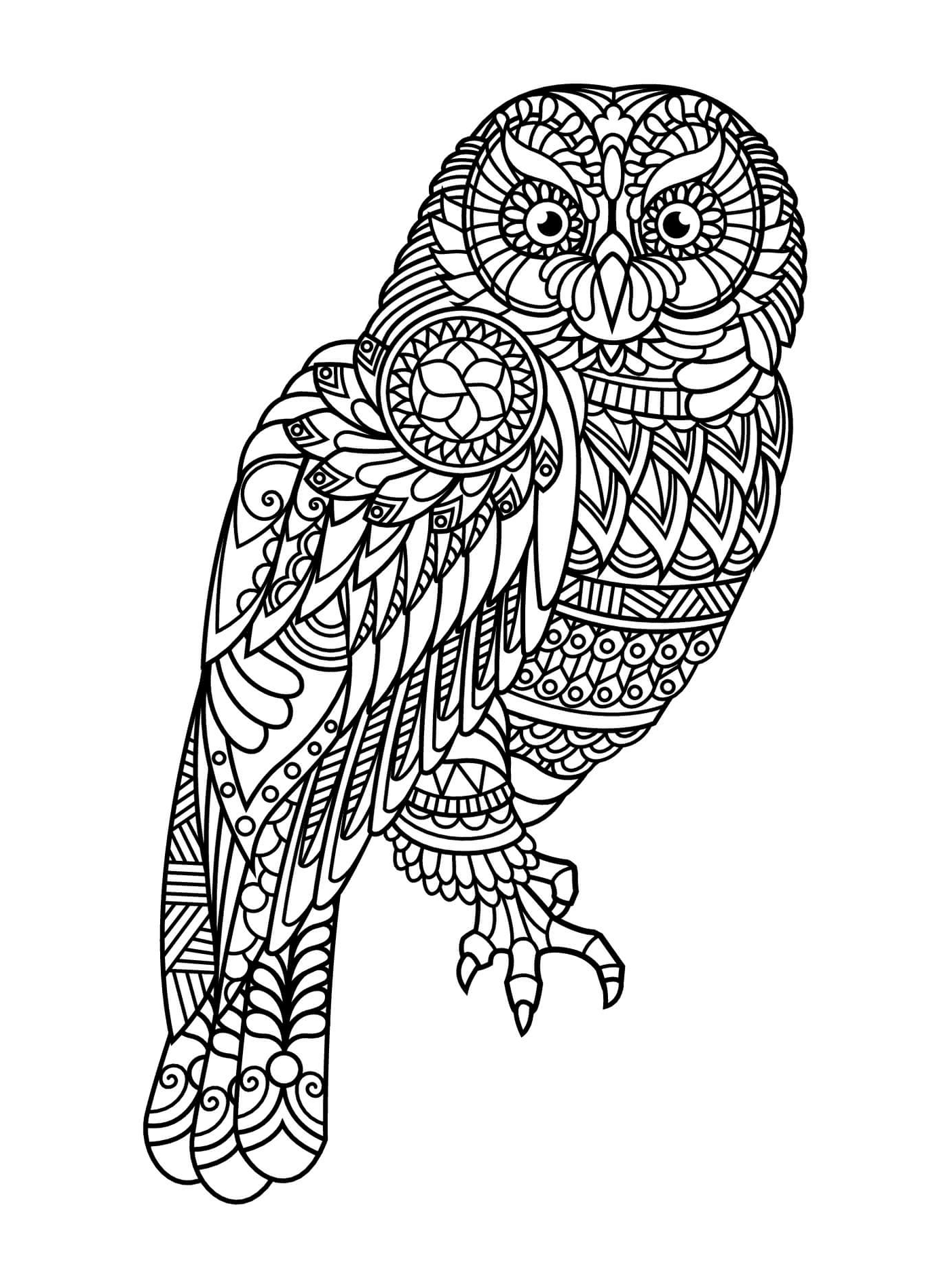  Mandala Owl 