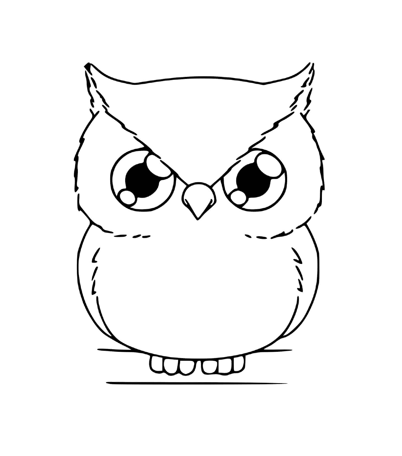  Owl Kawaii 