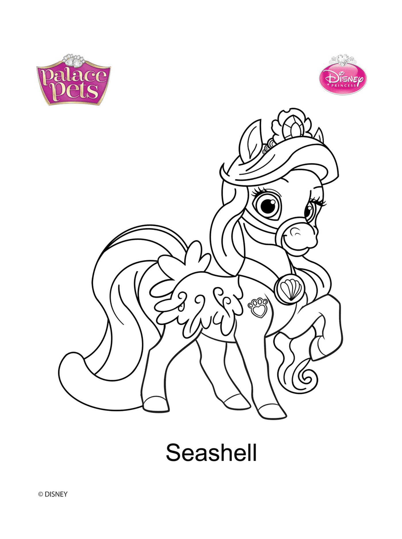  Fardos, Seashell Princesa Pony 