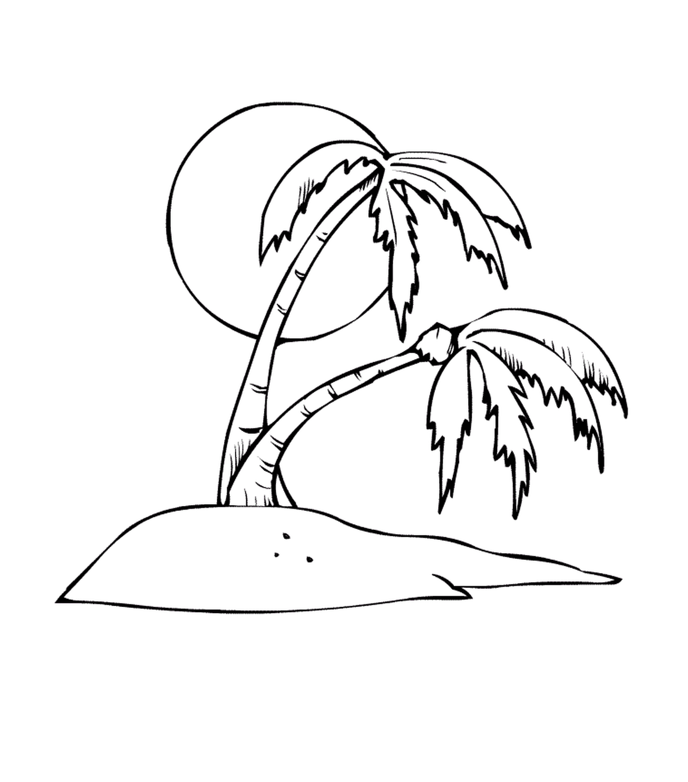  棕榈树,阳光之心 