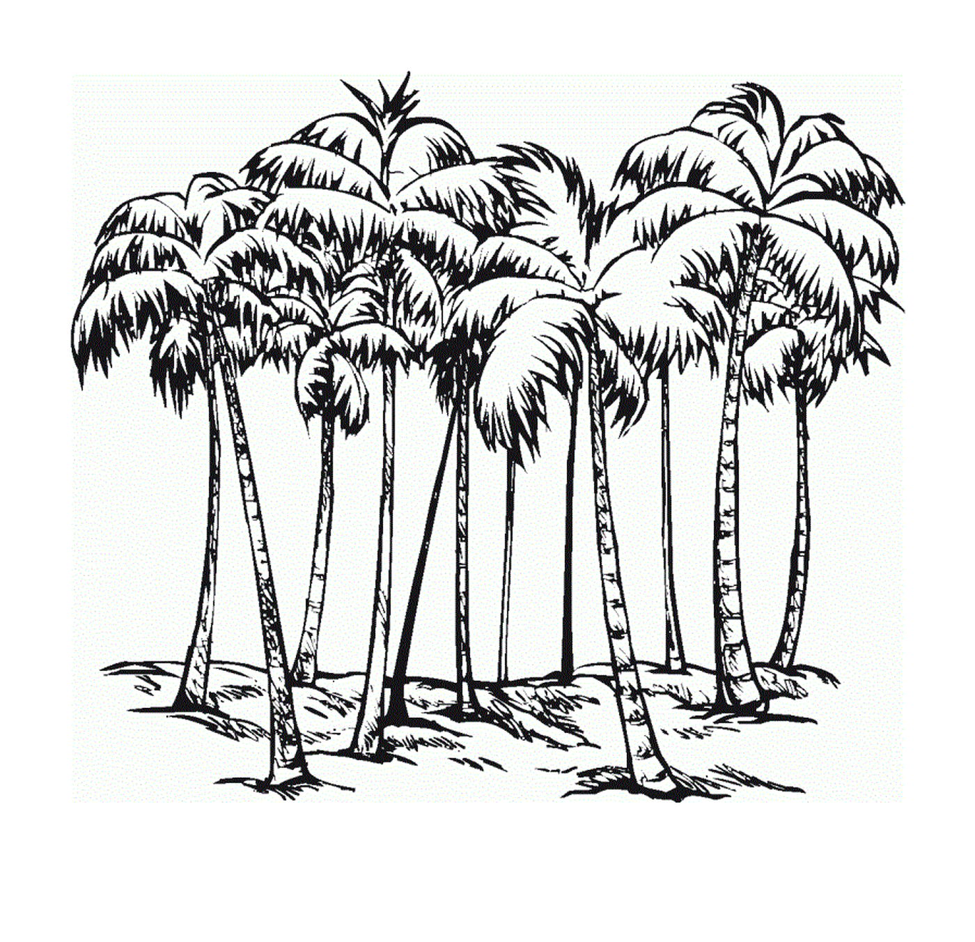  成人的硬棕榈树 