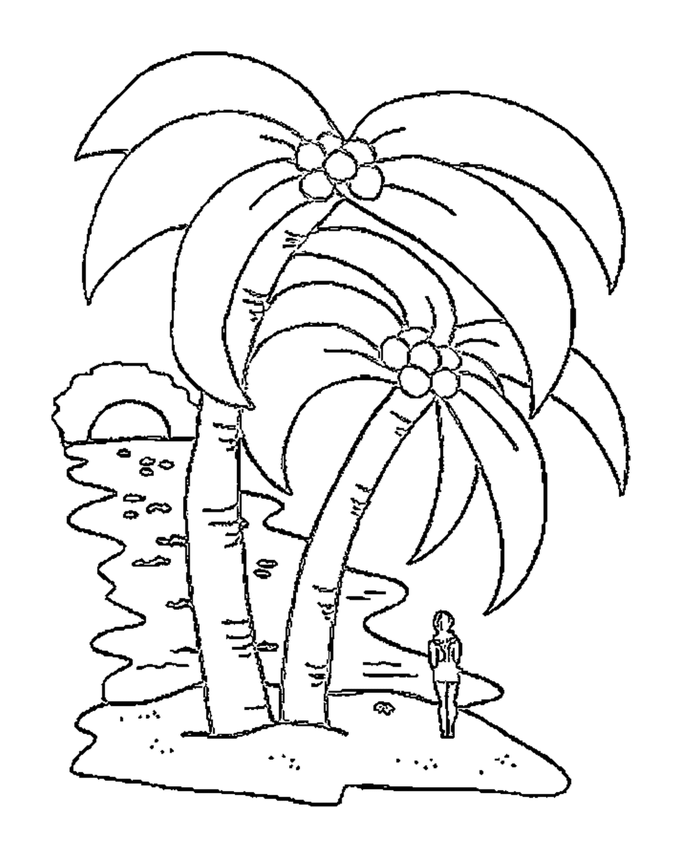  棕榈树2号,棕榈树2号,漂亮的棕榈树 
