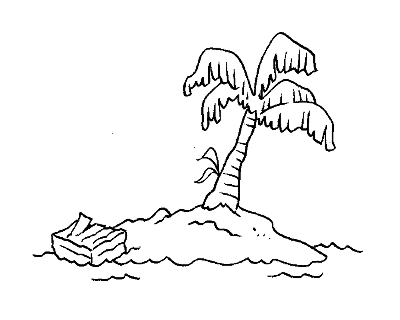  棕榈树荒弃岛 